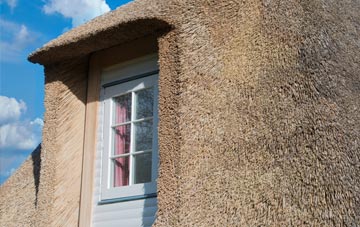 Edistone thatch roof disadvantages